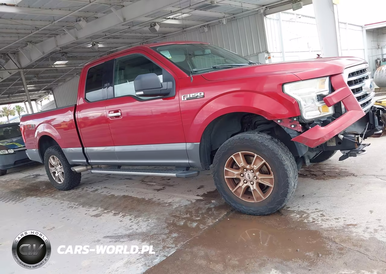 2015 Ford F-150 Xlt VIN:1FTFX1EF9FKD93874 - 13