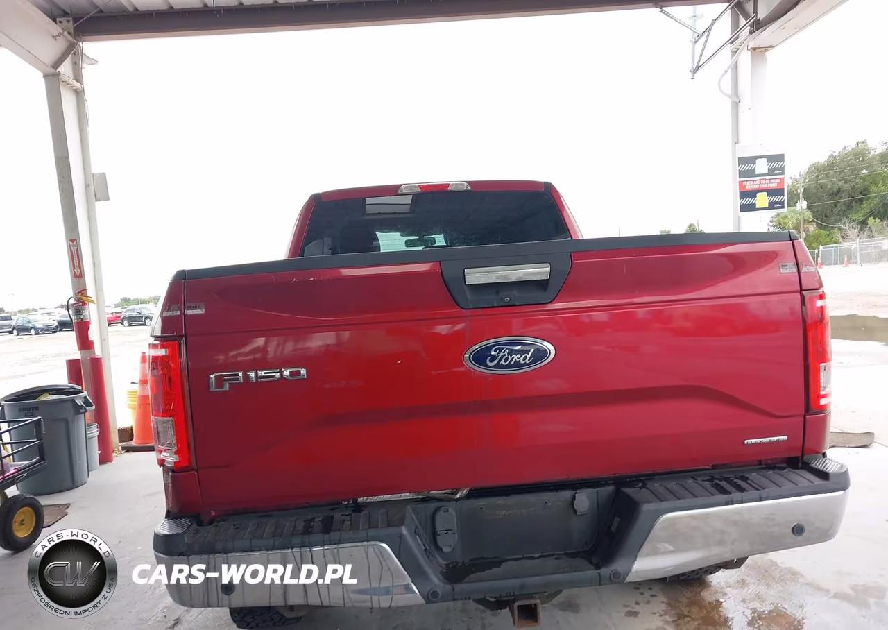 2015 Ford F-150 Xlt VIN:1FTFX1EF9FKD93874 - 16