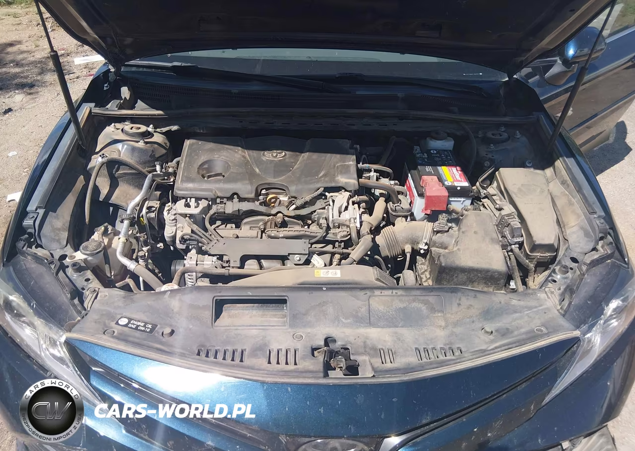 2020 Toyota Camry Le VIN:4T1C11AK1LU943071 - 10