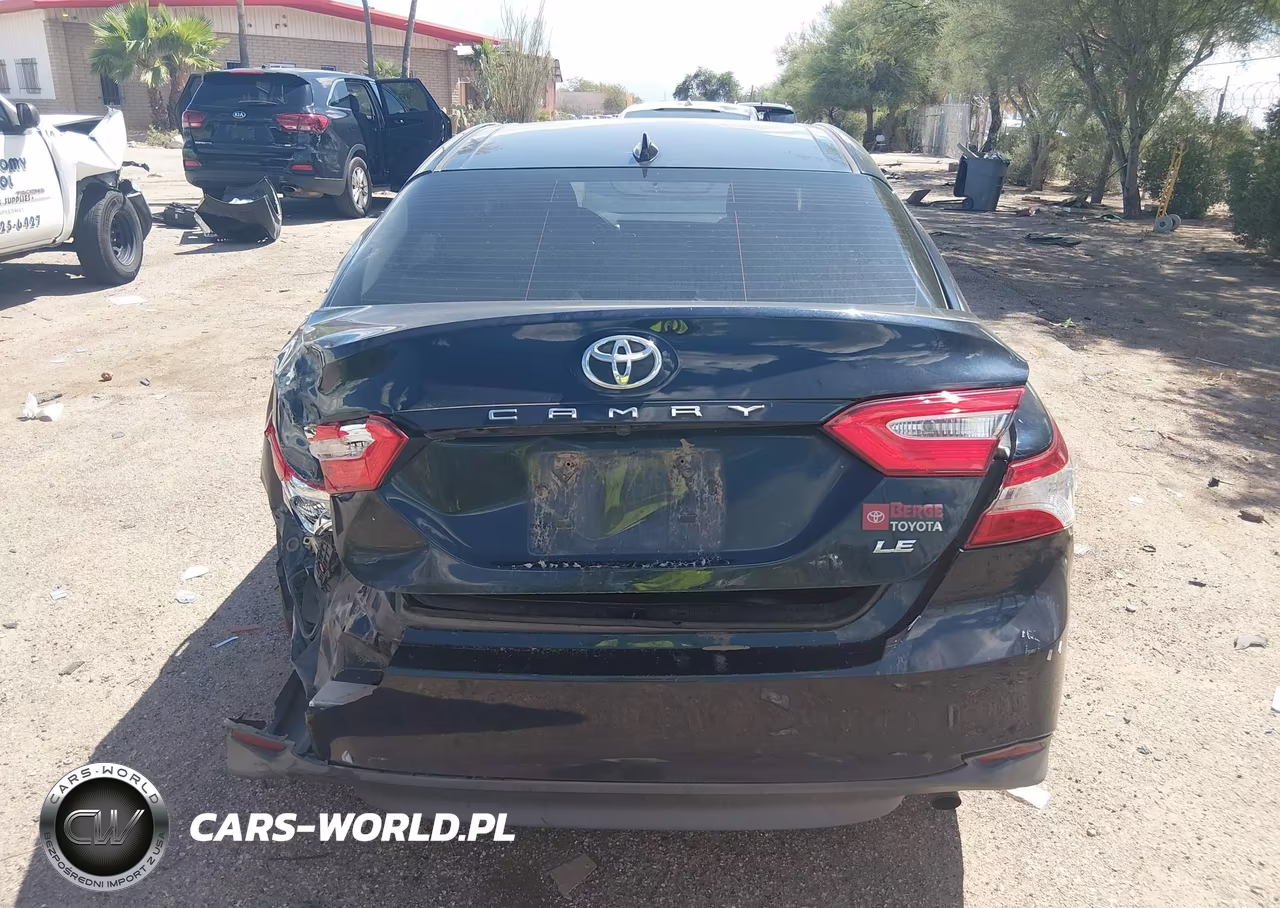 2020 Toyota Camry Le VIN:4T1C11AK1LU943071 - 16