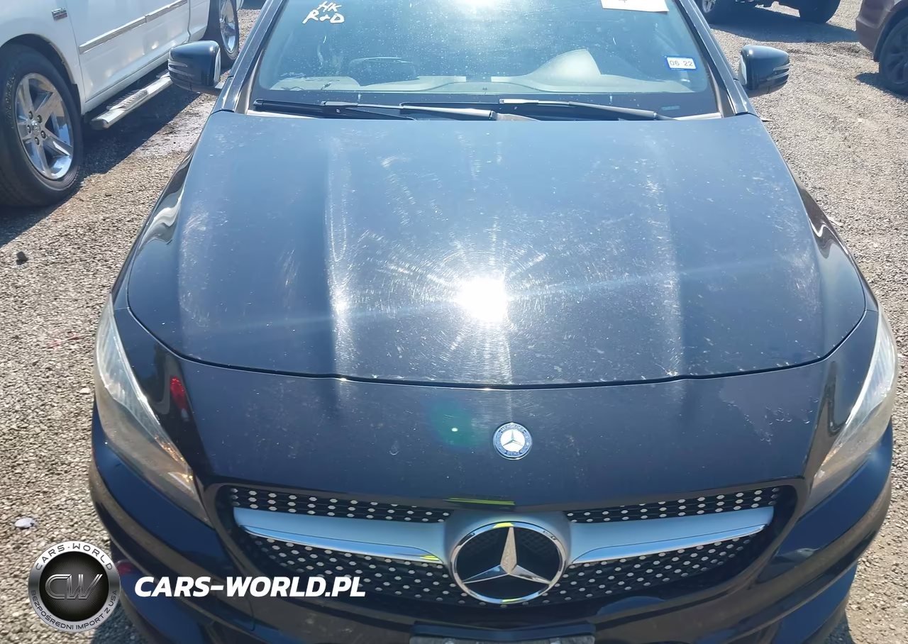 2014 Mercedes-Benz Cla 250 VIN:WDDSJ4EB3EN060913 - 10