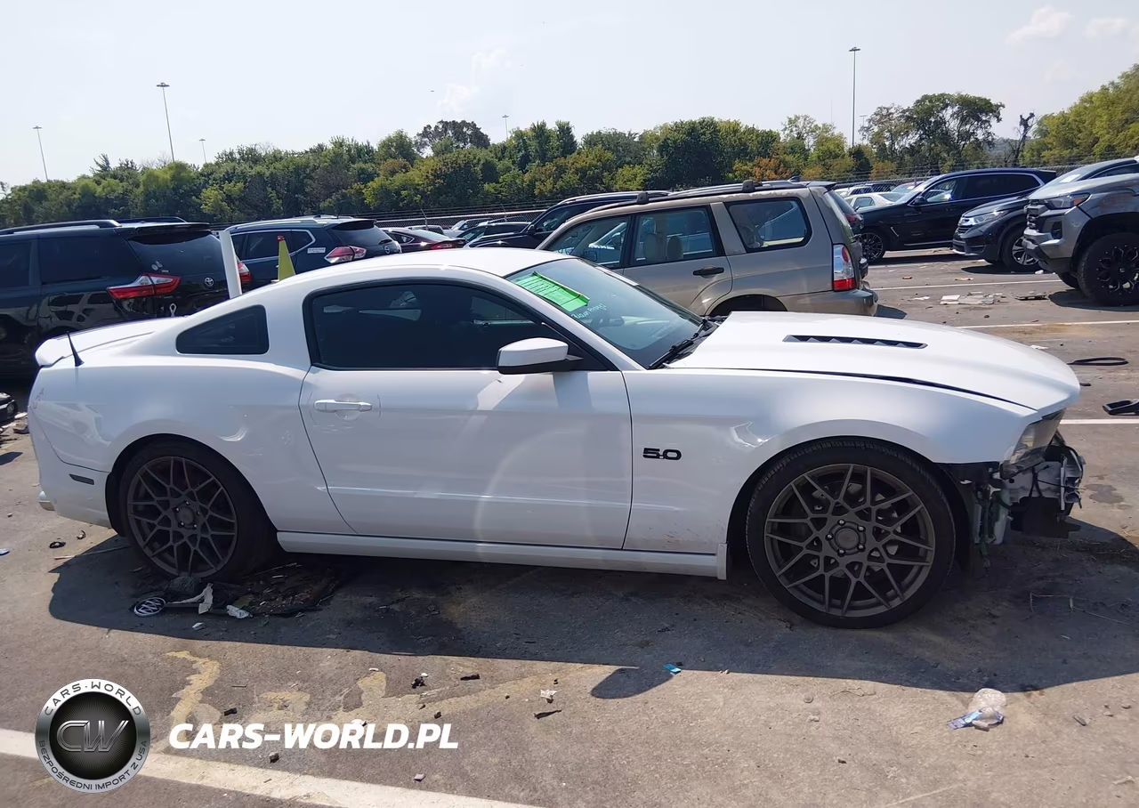 2014 Ford Mustang Gt VIN:1ZVBP8CF3E5227712 - 14