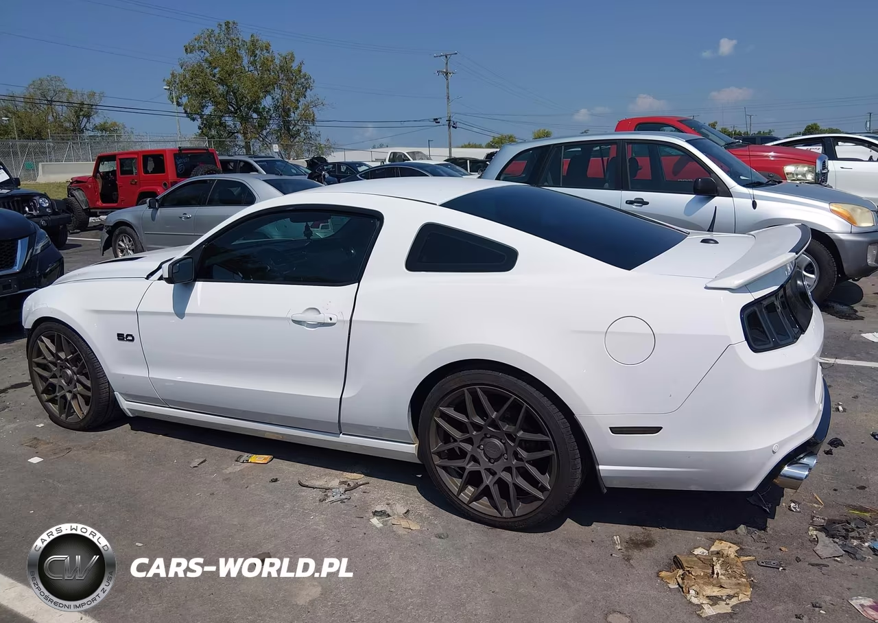 2014 Ford Mustang Gt VIN:1ZVBP8CF3E5227712 - 15
