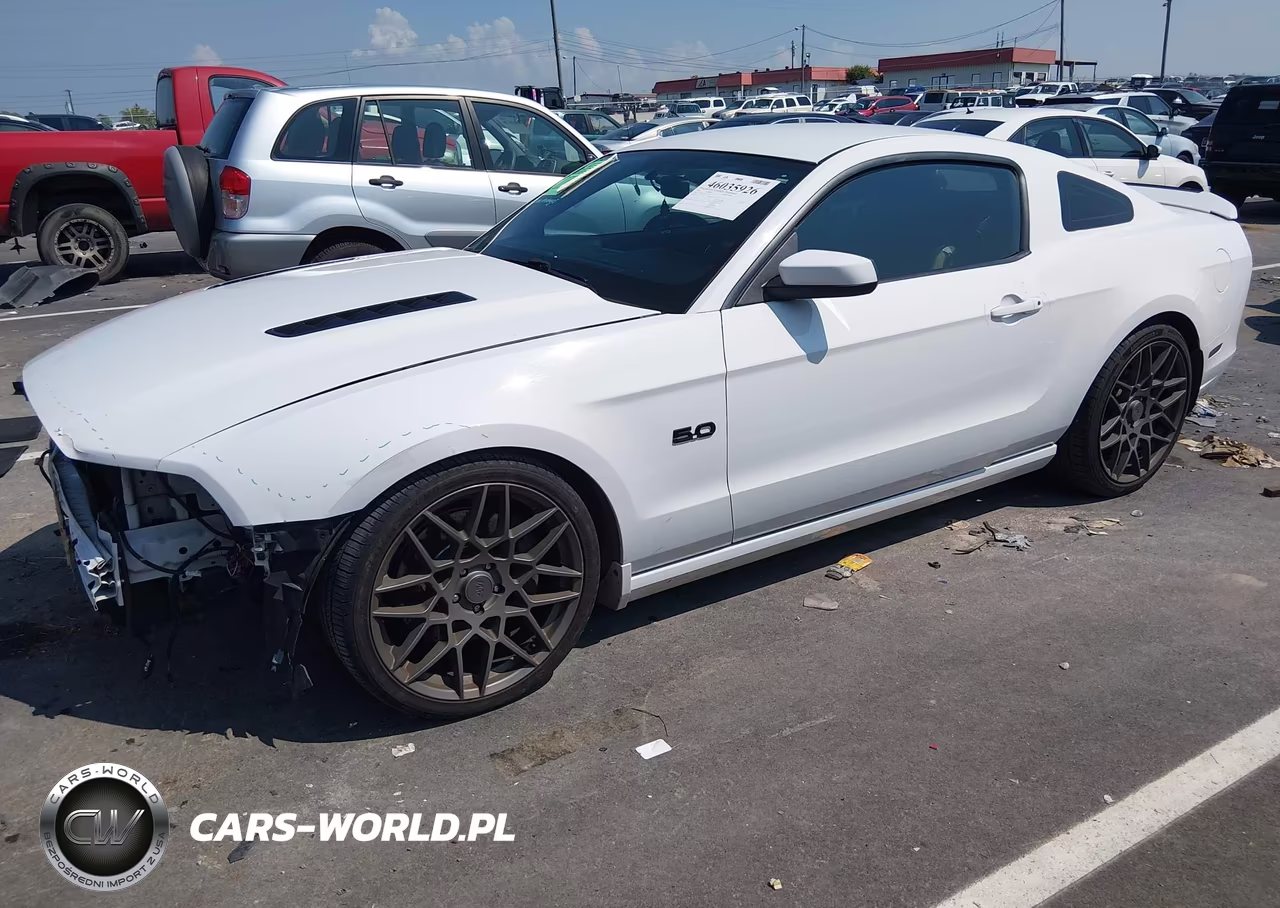 2014 Ford Mustang Gt VIN:1ZVBP8CF3E5227712 - 2