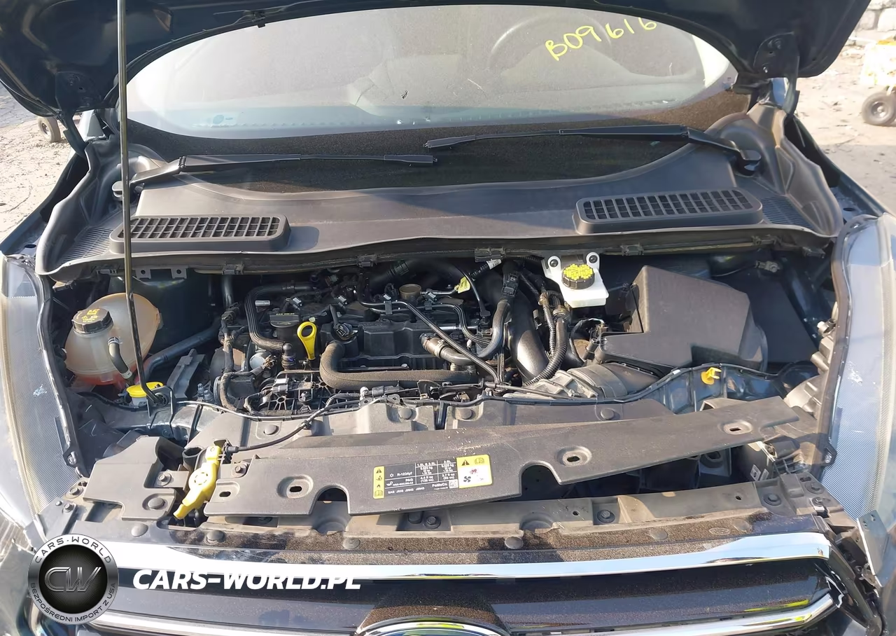 2019 Ford Escape Se VIN:1FMCU9GD4KUB09616 - 10