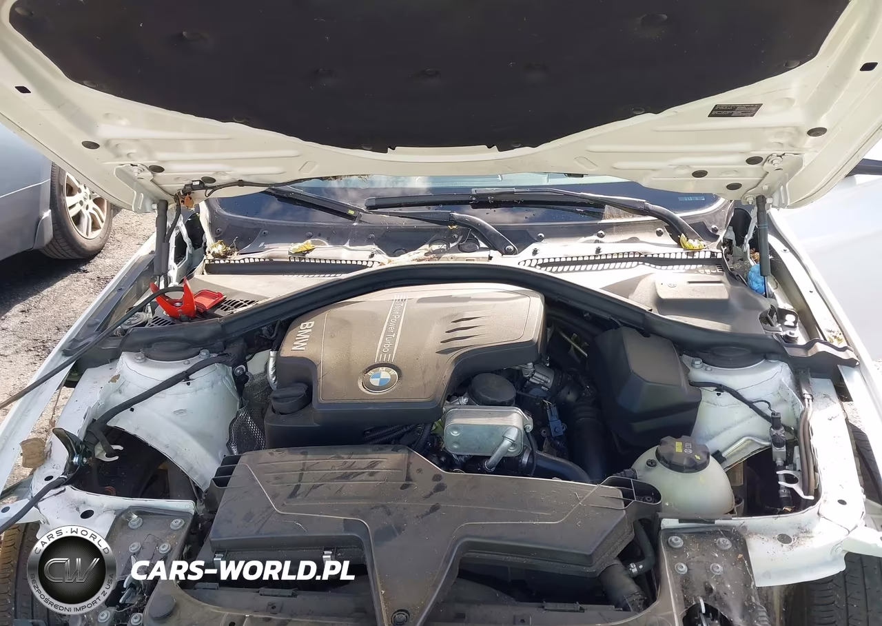 2015 BMW 320I VIN:WBA3B1C52FP681182 - 10