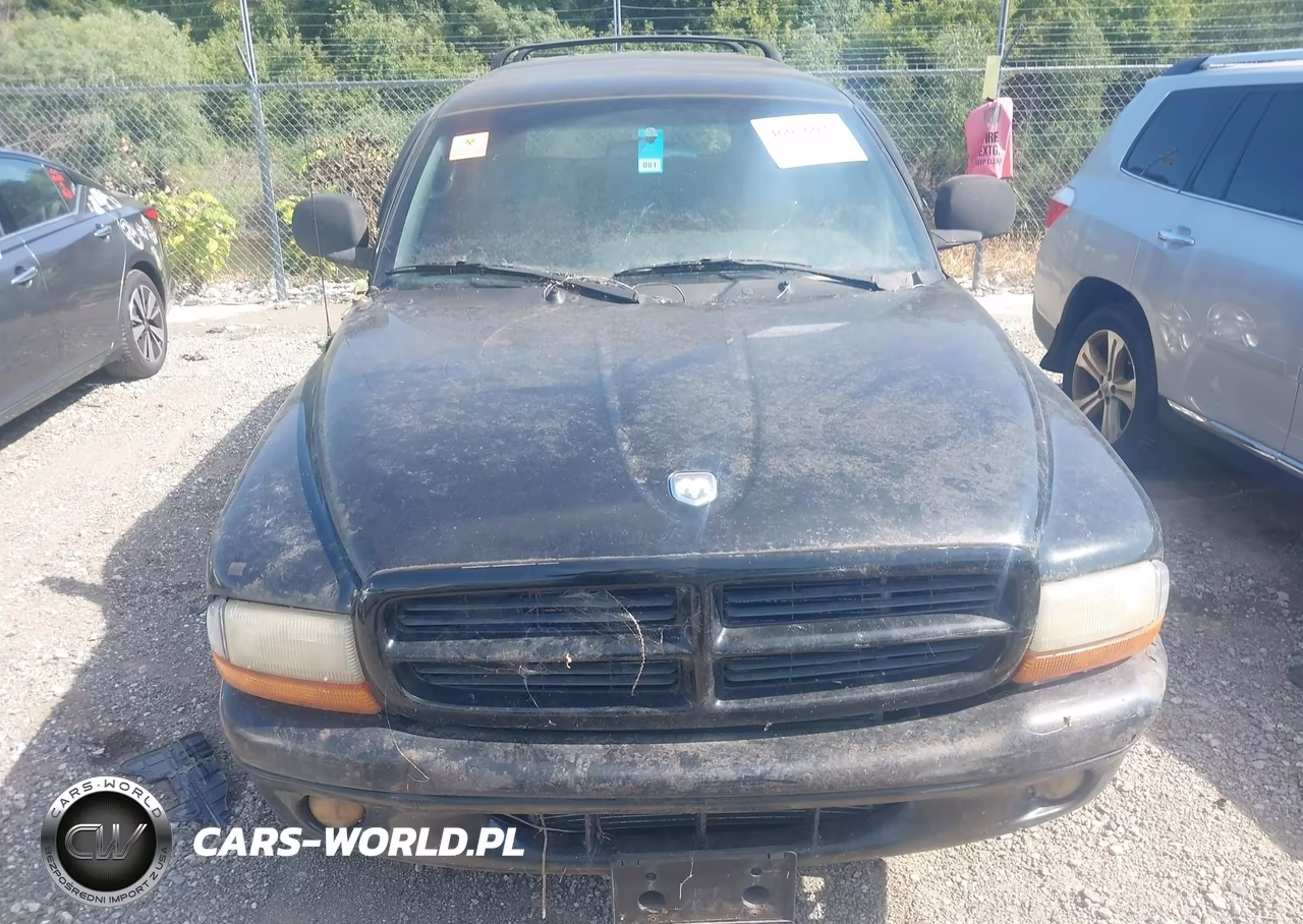 2000 Dodge Durango VIN:1B4HS28Z0YF295862 - 10