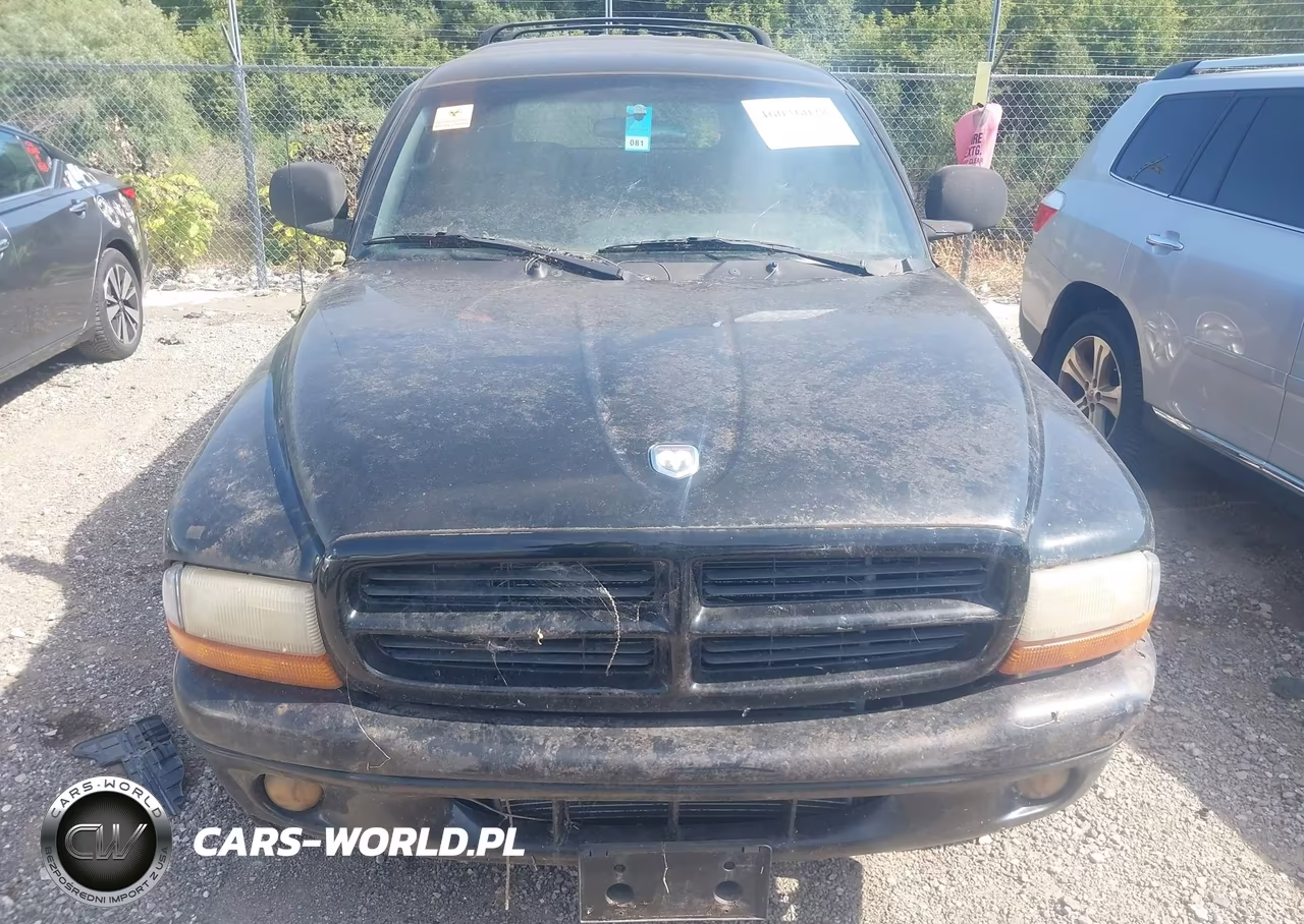 2000 Dodge Durango VIN:1B4HS28Z0YF295862 - 6