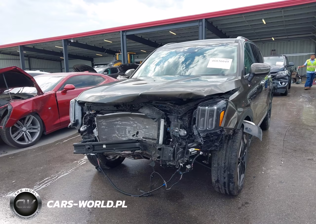 2025 Kia Telluride S VIN:5XYP64GC4SG655070 - 6