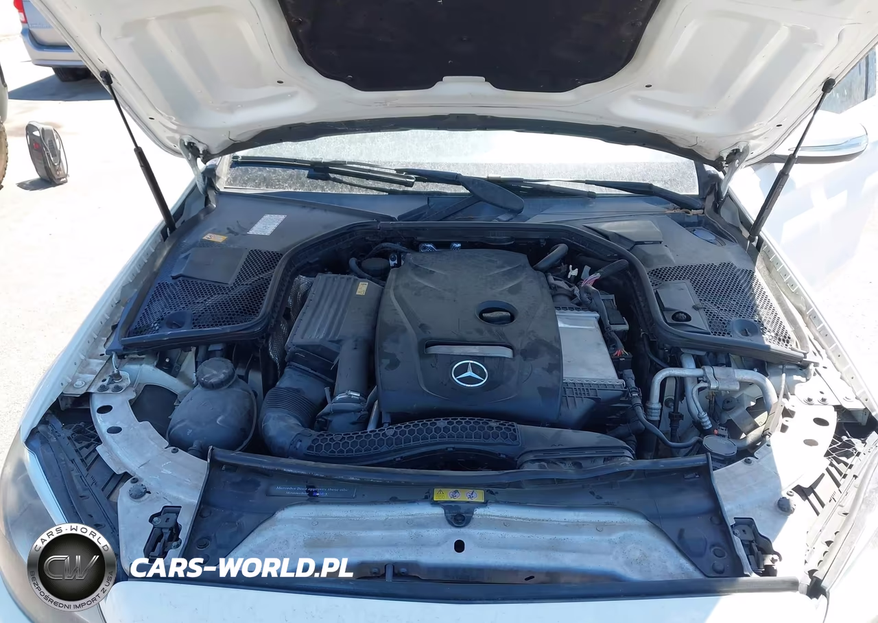 2016 Mercedes-Benz C 300 VIN:55SWF4JB5GU129765 - 10