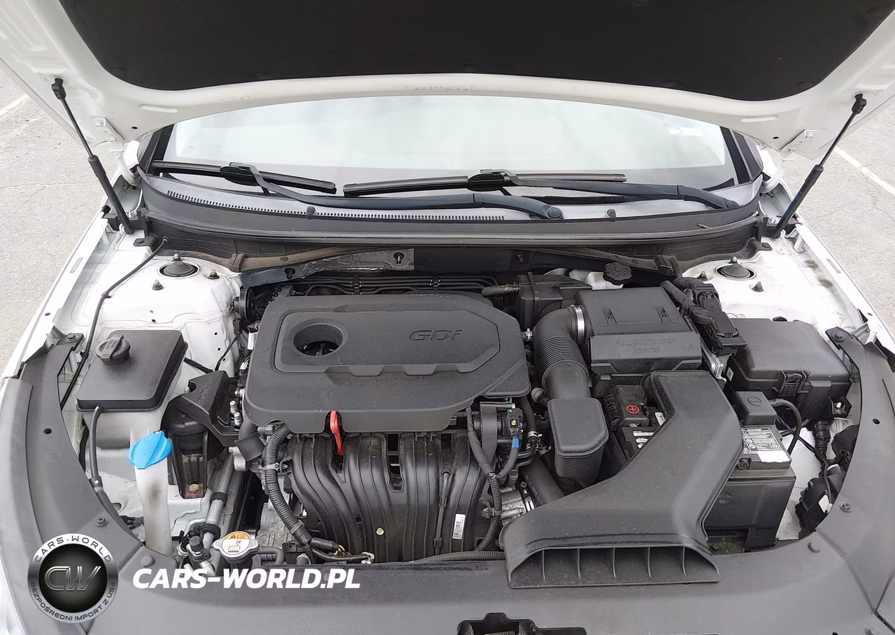 2019 Hyundai Sonata Se VIN:5NPE24AF7KH810922 - 10