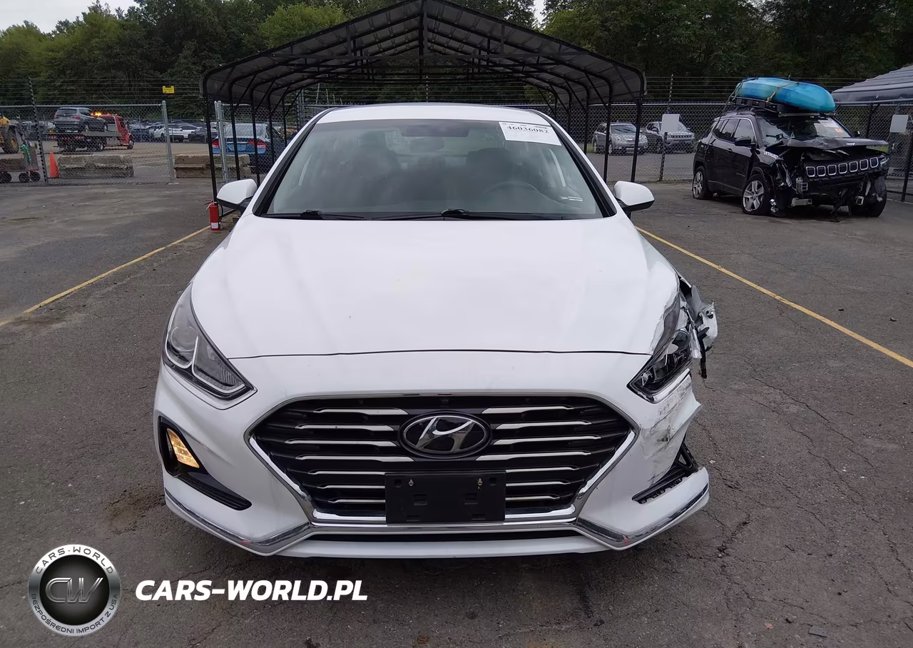 2019 Hyundai Sonata Se VIN:5NPE24AF7KH810922 - 12