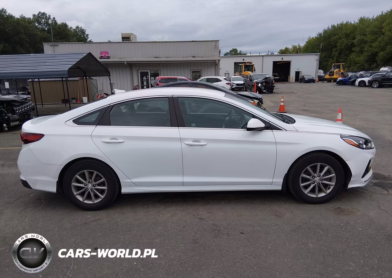 2019 Hyundai Sonata Se VIN:5NPE24AF7KH810922 - 13