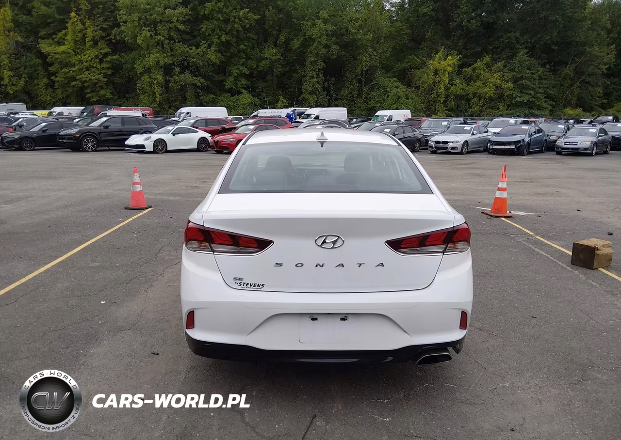 2019 Hyundai Sonata Se VIN:5NPE24AF7KH810922 - 16