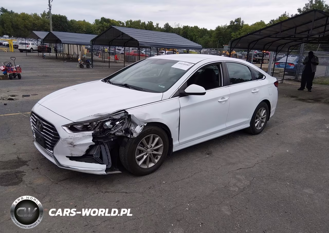 2019 Hyundai Sonata Se VIN:5NPE24AF7KH810922 - 2