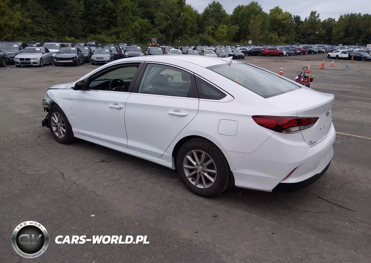 2019 Hyundai Sonata Se VIN:5NPE24AF7KH810922 - 3