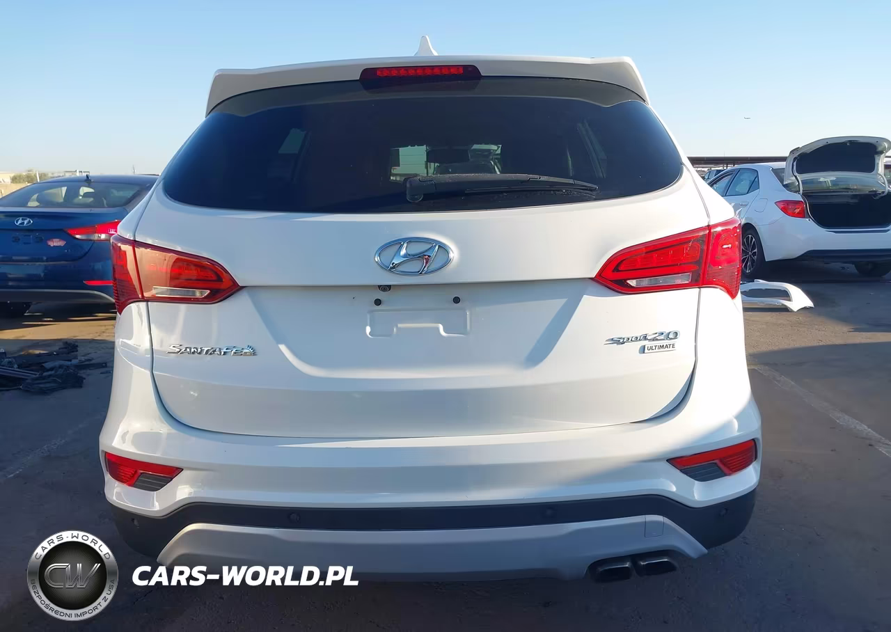 2017 Hyundai Santa Fe Sport 2.0T Ultimate VIN:5XYZW4LA5HG436883 - 17