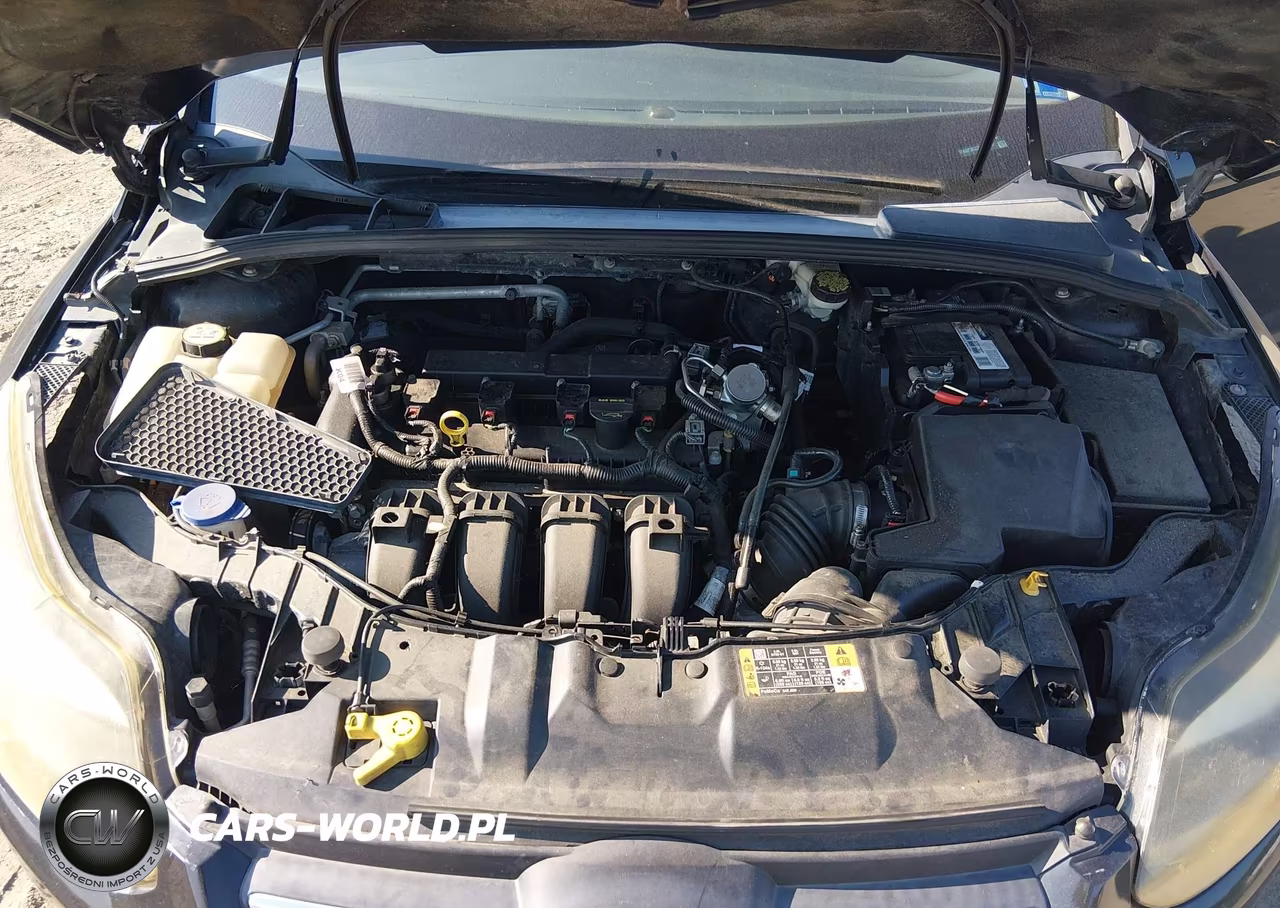2014 Ford Focus Se VIN:1FADP3K23EL326450 - 10