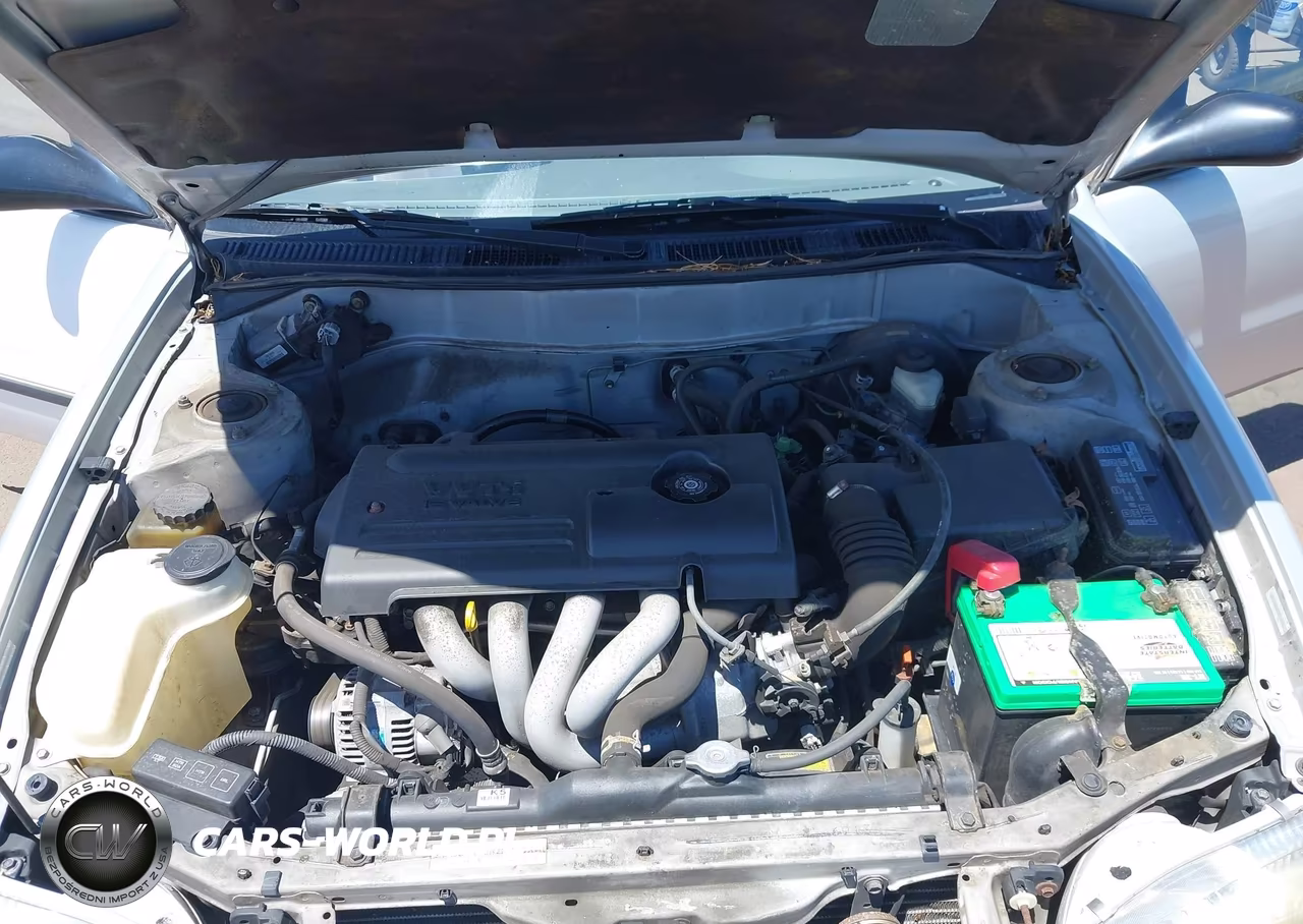 2000 Toyota Corolla Ce VIN:1NXBR12E5YZ338720 - 10