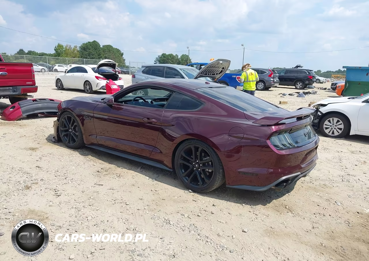 2018 Ford Mustang Gt Premium VIN:1FA6P8CF9J5116313 - 3