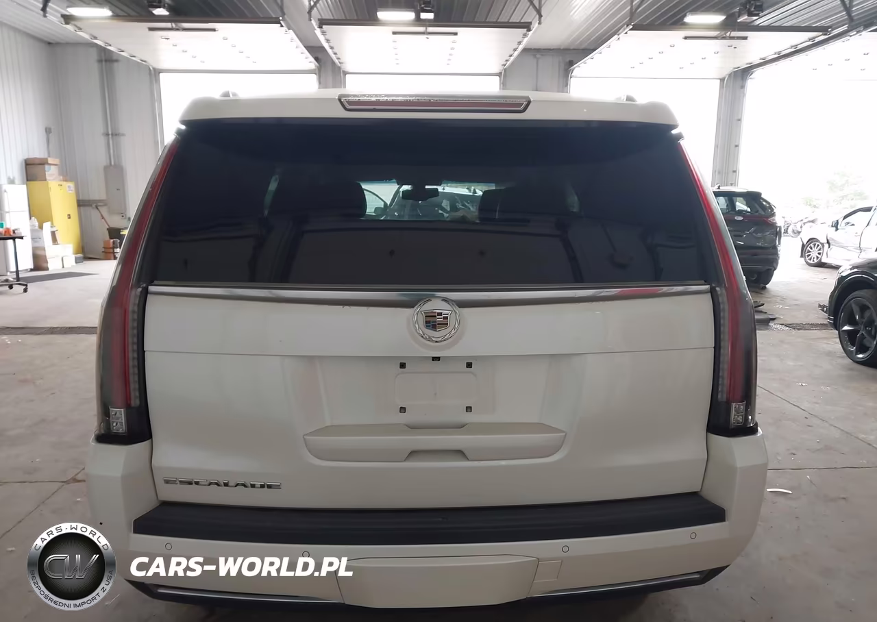 2015 Cadillac Escalade Standard VIN:1GYS4AKJ3FR128868 - 16