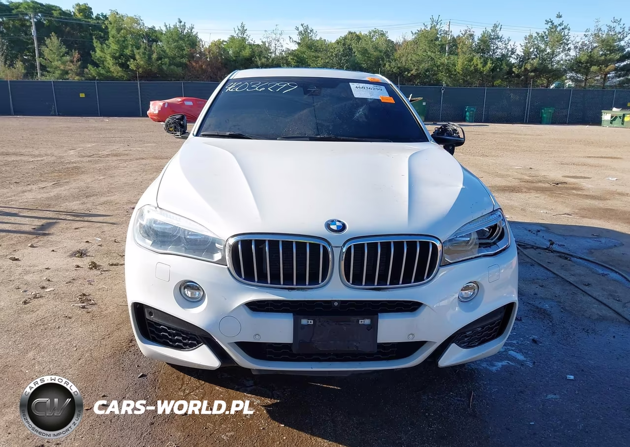 2016 BMW X6 xDrive50I VIN:5UXKU6C50G0R34305 - 12