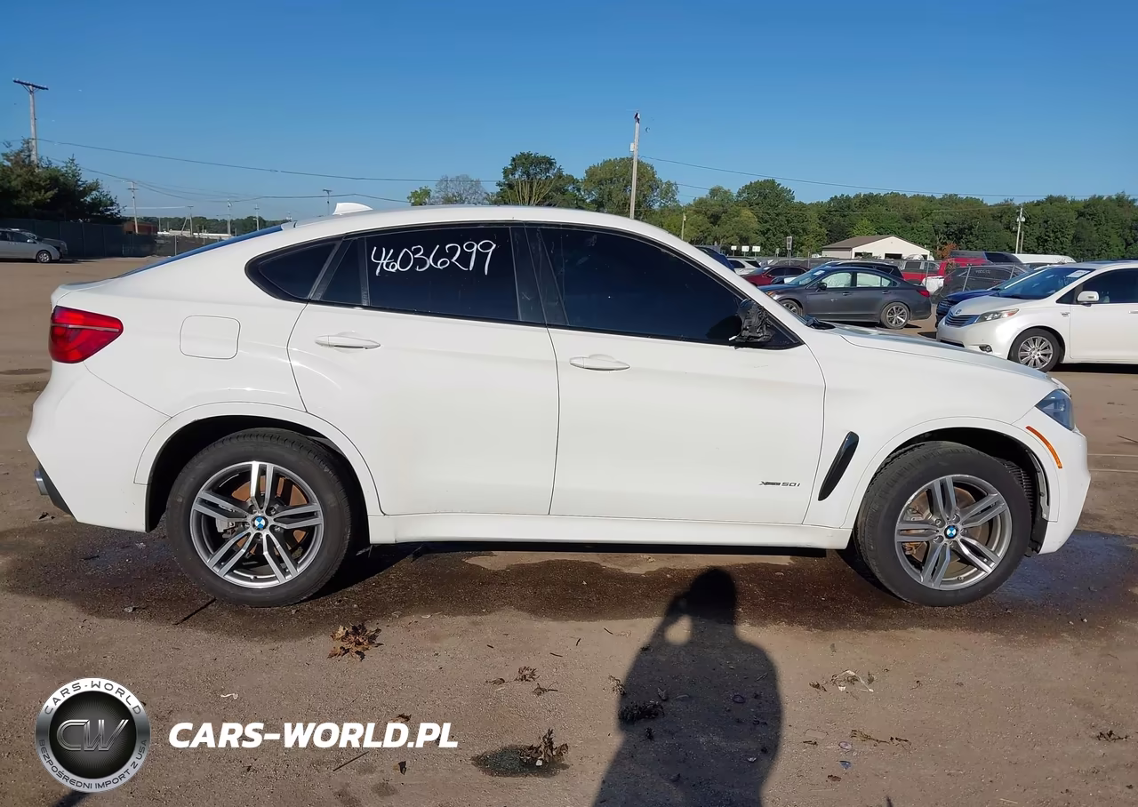 2016 BMW X6 xDrive50I VIN:5UXKU6C50G0R34305 - 13