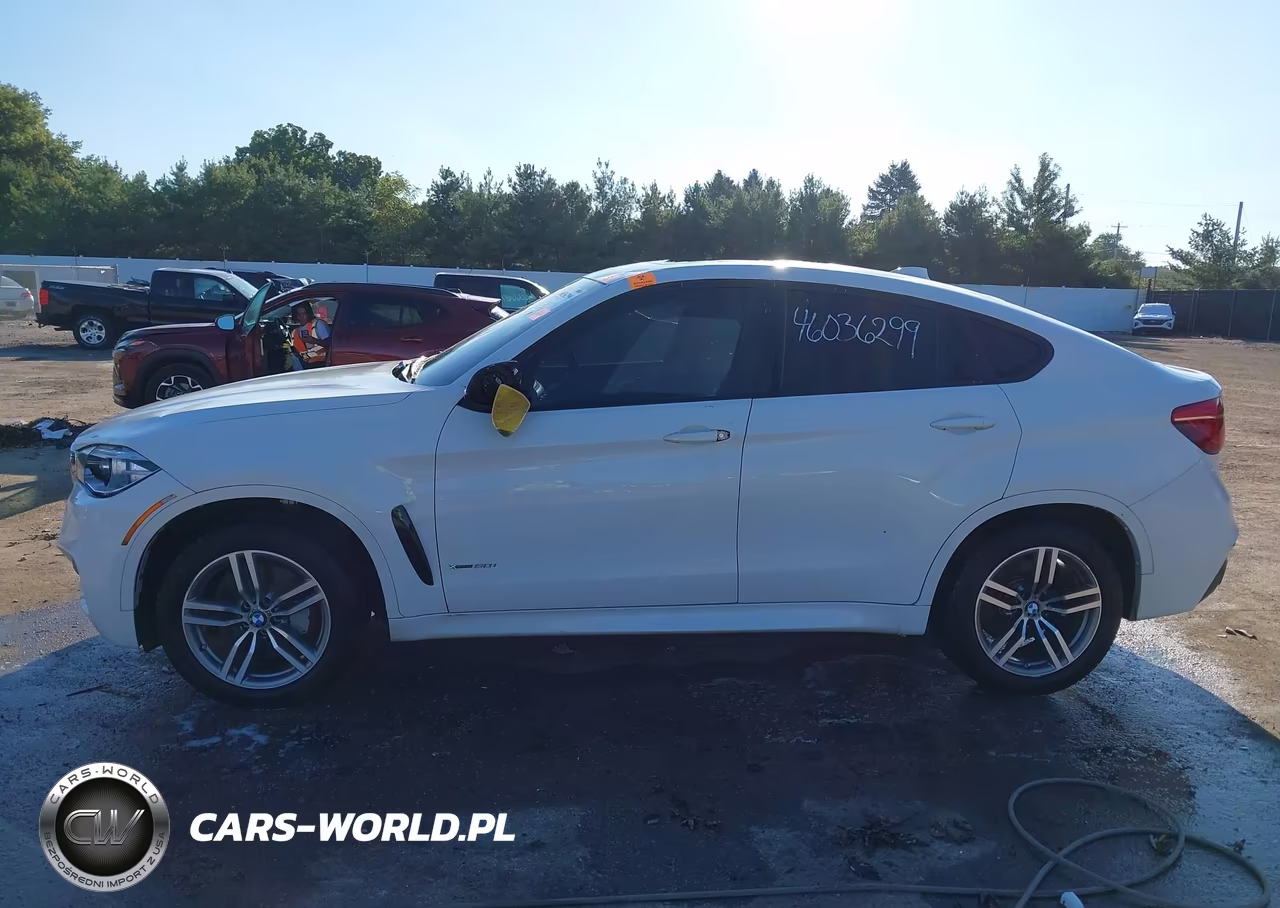 2016 BMW X6 xDrive50I VIN:5UXKU6C50G0R34305 - 14