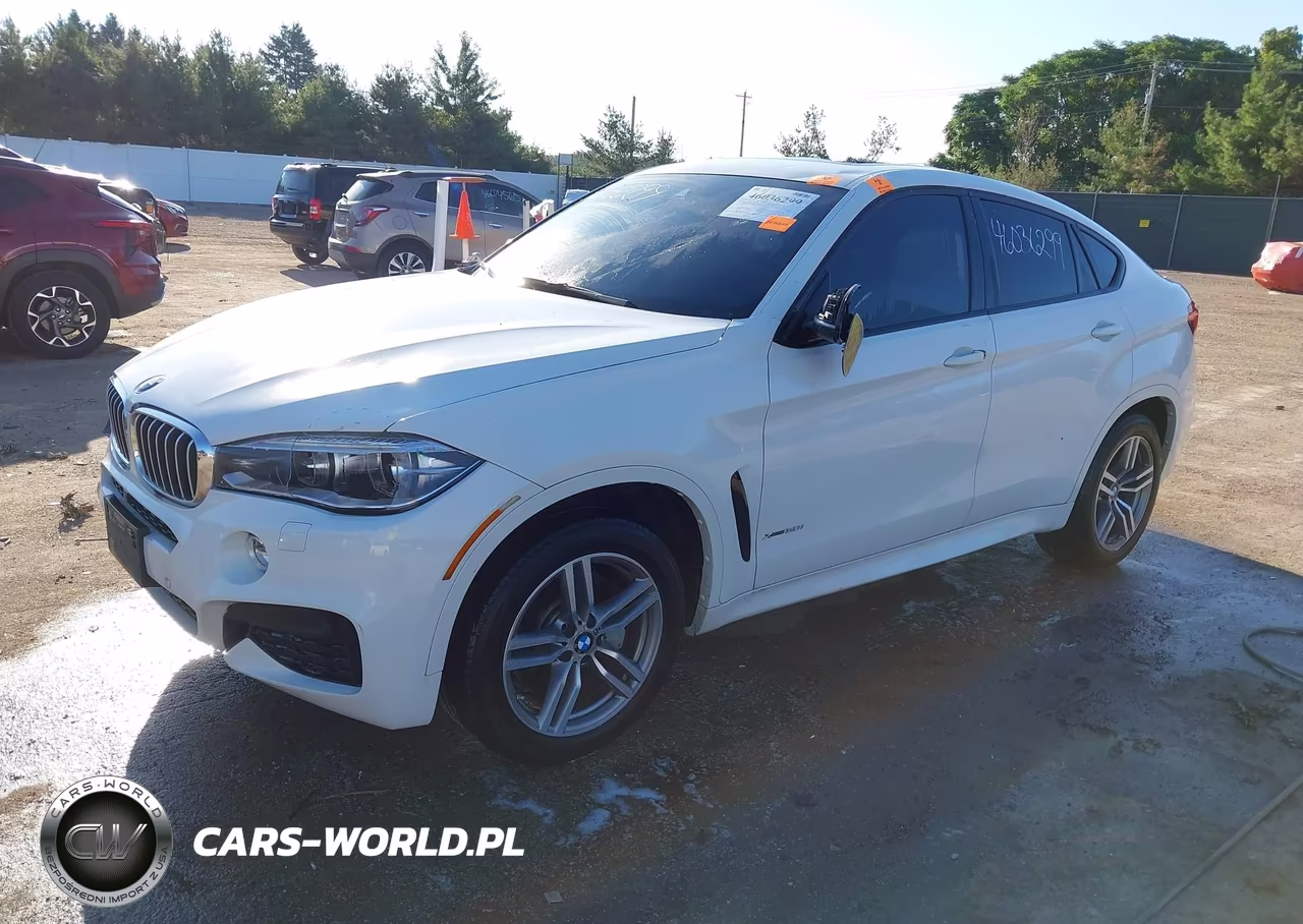 2016 BMW X6 xDrive50I VIN:5UXKU6C50G0R34305 - 2