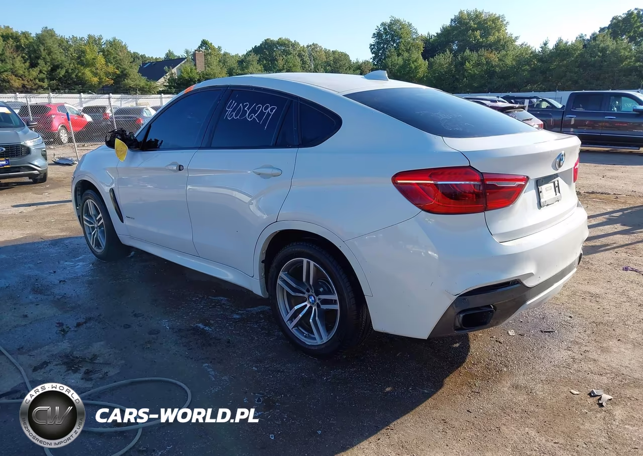 2016 BMW X6 xDrive50I VIN:5UXKU6C50G0R34305 - 3