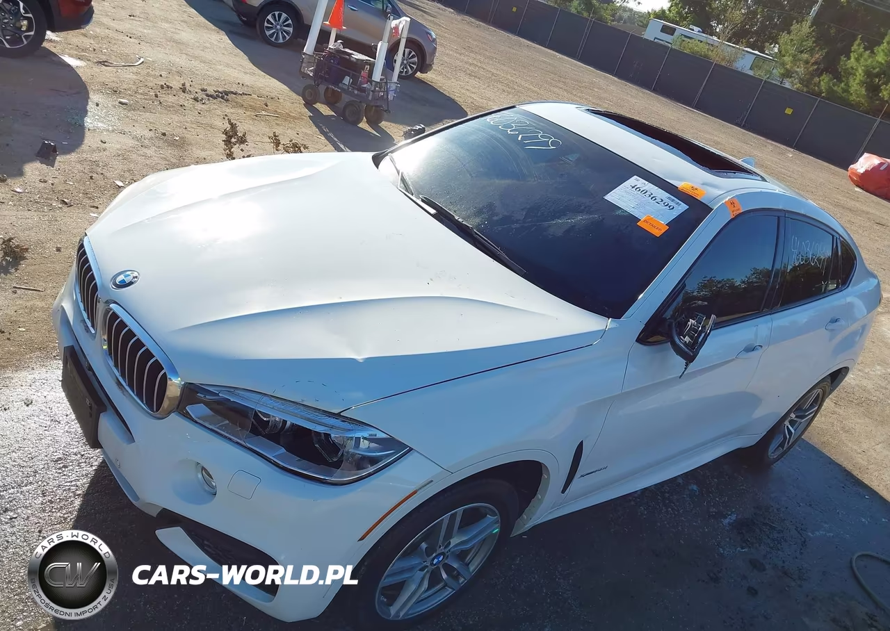 2016 BMW X6 xDrive50I VIN:5UXKU6C50G0R34305 - 6