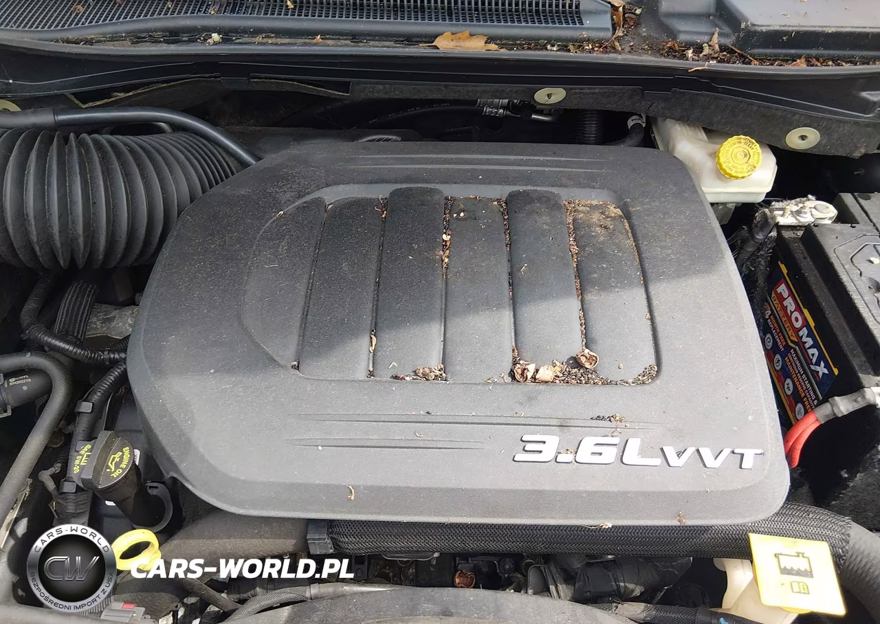 2013 Dodge Grand Caravan Se VIN:2C4RDGBG0DR561423 - 10