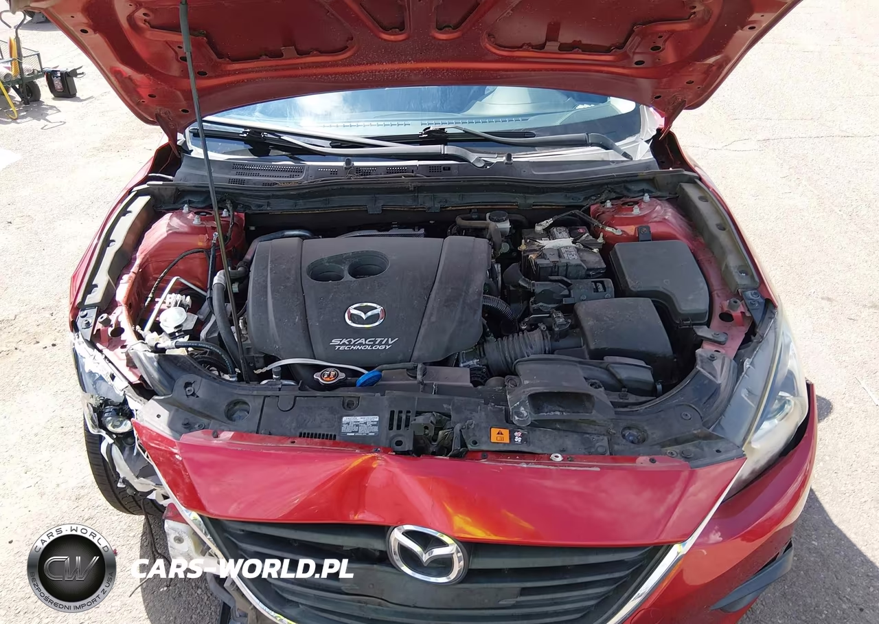 2016 Mazda Mazda3 I Sport VIN:JM1BM1T74G1319854 - 10