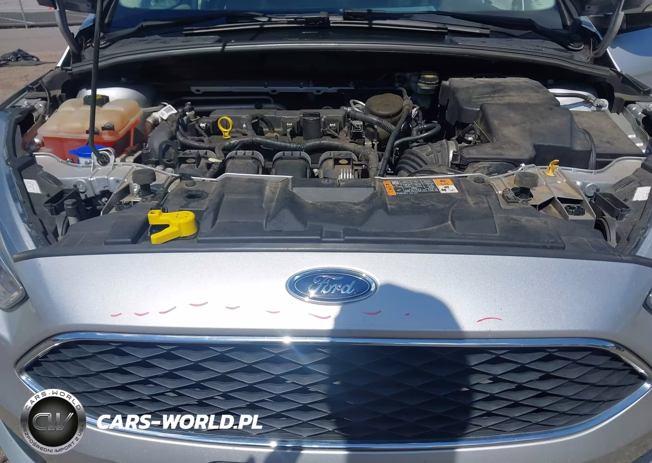 2016 Ford Focus Se VIN:1FADP3K2XGL249112 - 10