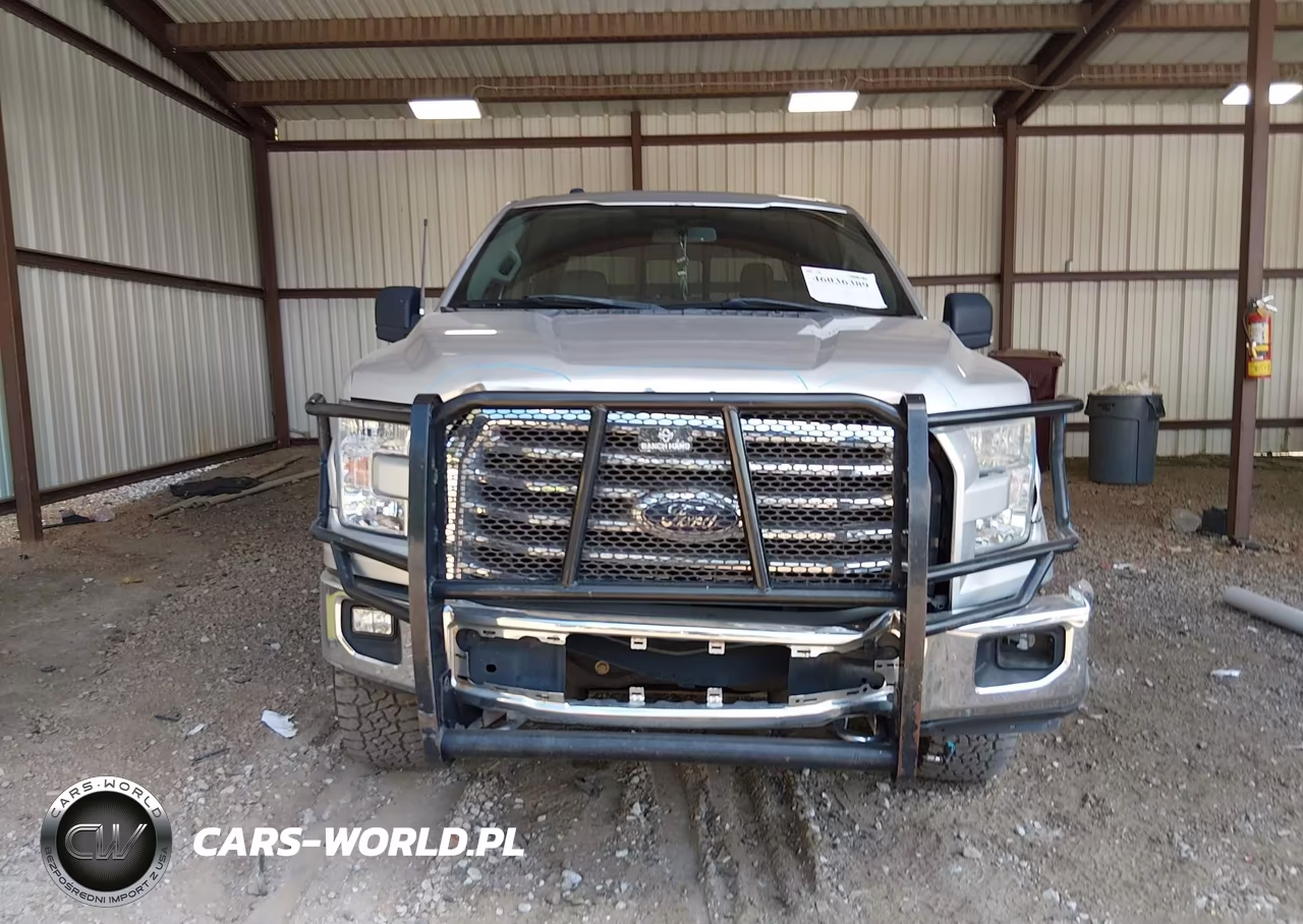 2015 Ford F-150 Xlt VIN:1FTEW1EF0FKE71103 - 12