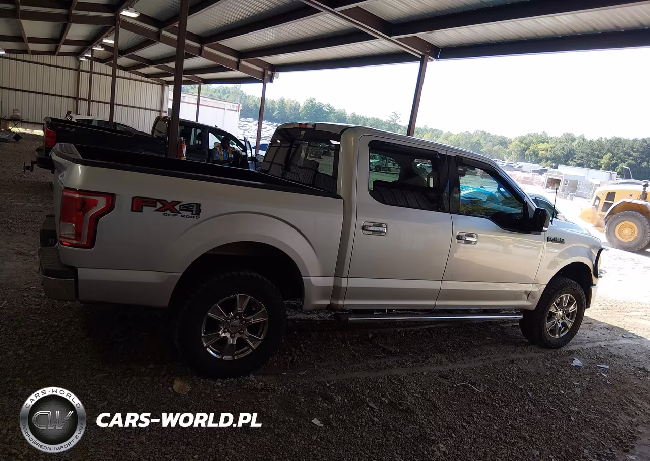 2015 Ford F-150 Xlt VIN:1FTEW1EF0FKE71103 - 13
