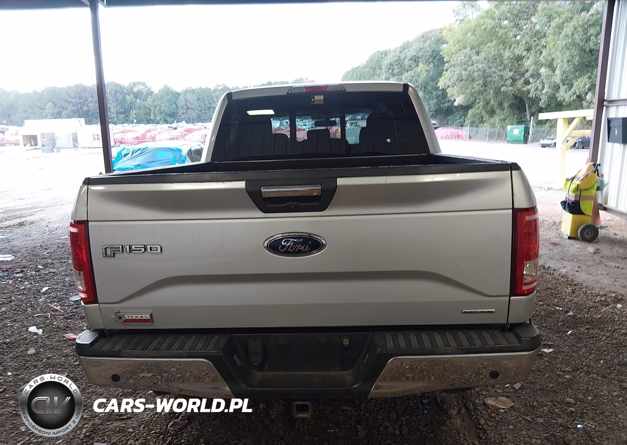 2015 Ford F-150 Xlt VIN:1FTEW1EF0FKE71103 - 16