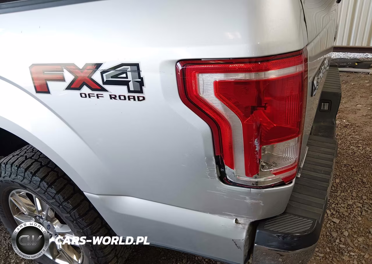 2015 Ford F-150 Xlt VIN:1FTEW1EF0FKE71103 - 18