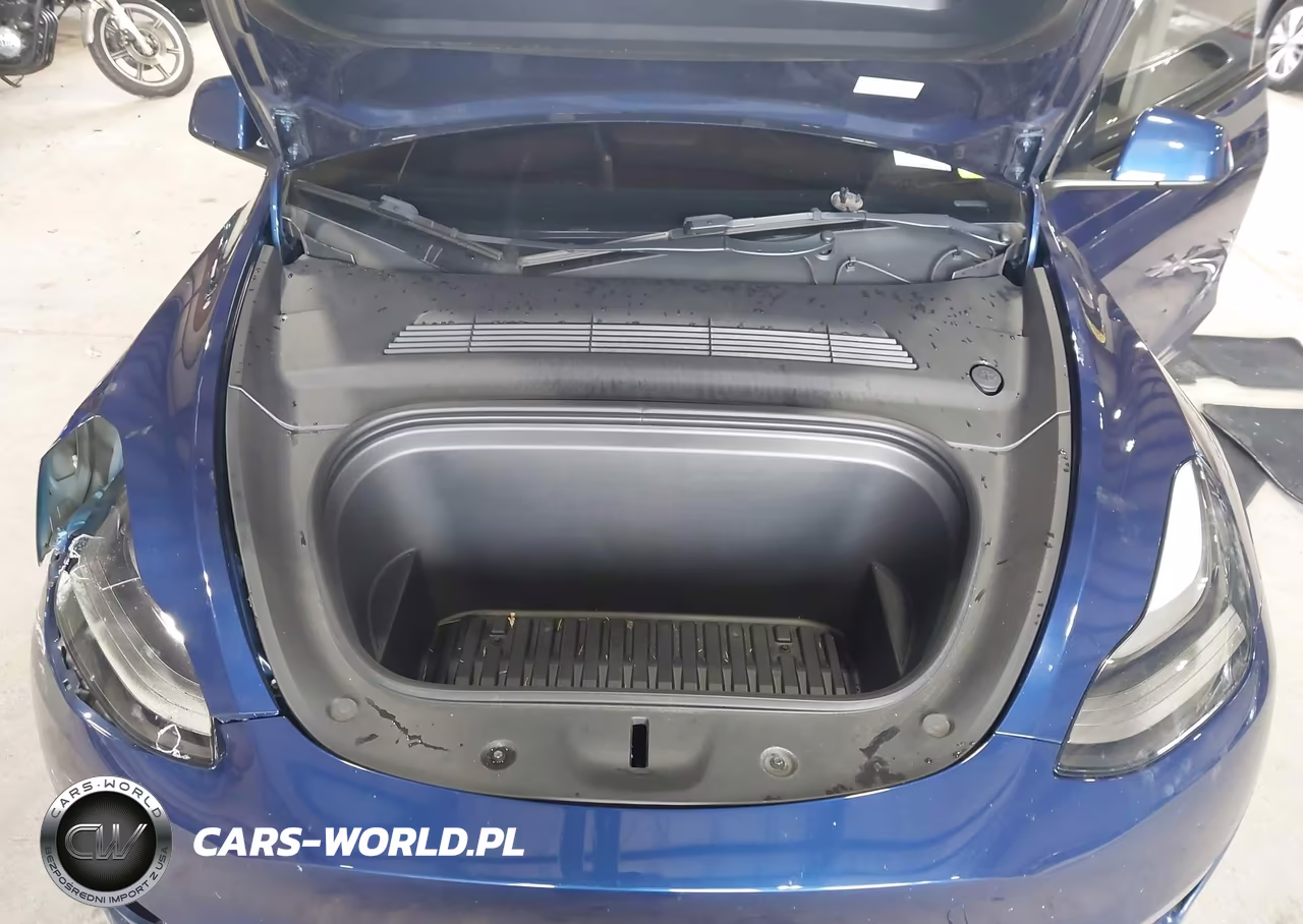 2023 Tesla Model Y Awd-Long Range Dual Motor All-Wheel Drive VIN:7SAYGDEE8PF703855 - 10