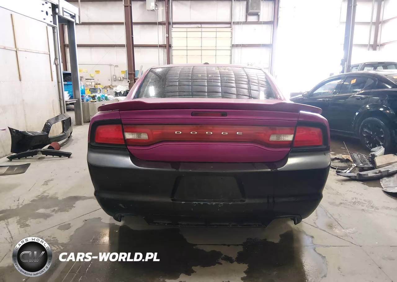 2014 Dodge Charger R-T VIN:2C3CDXCT3EH211023 - 17