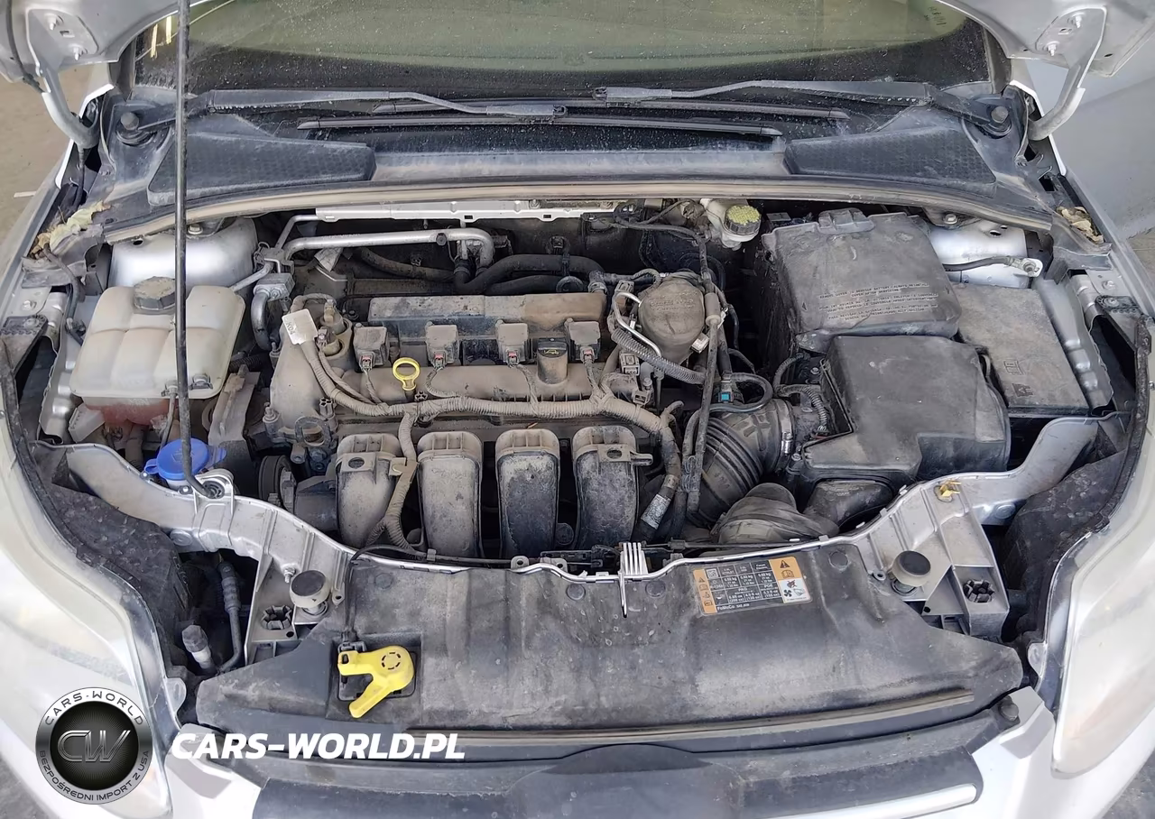 2014 Ford Focus Se VIN:1FADP3F27EL420518 - 10