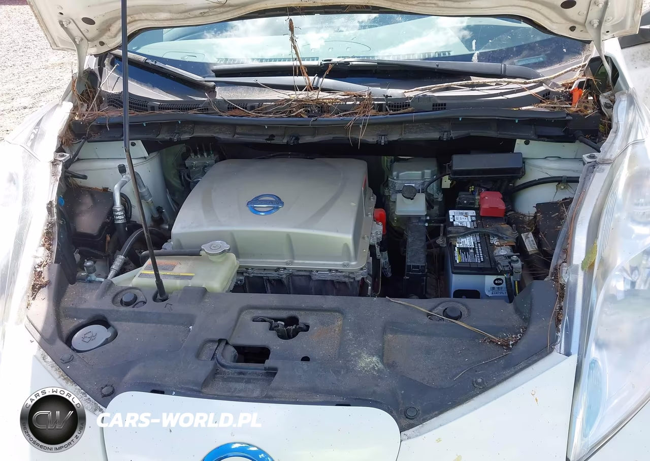 2015 Nissan Leaf S VIN:1N4AZOCPOFC324176 - 10