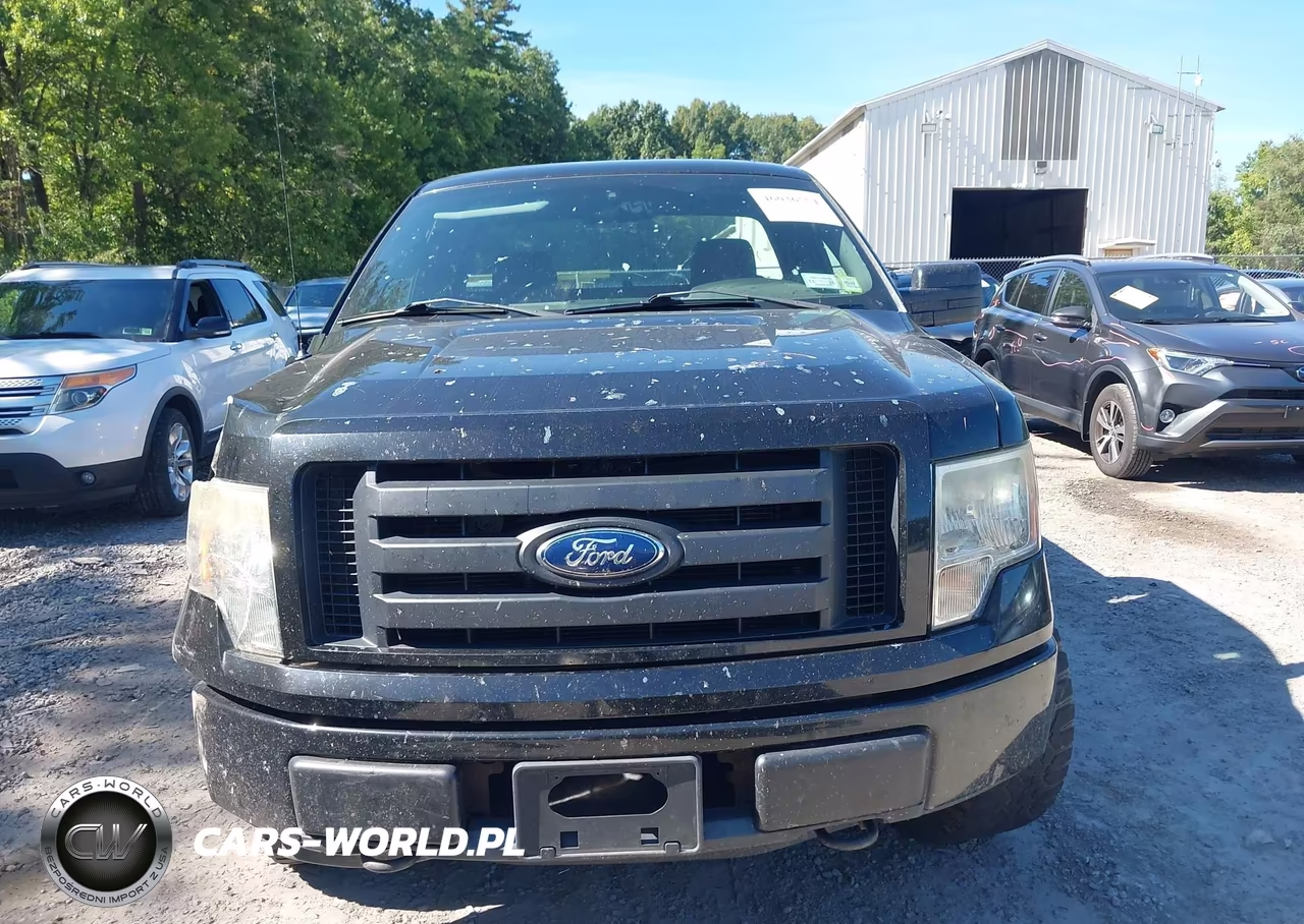2011 Ford F-150 Stx VIN:1FTMF1EF7BFC54968 - 12