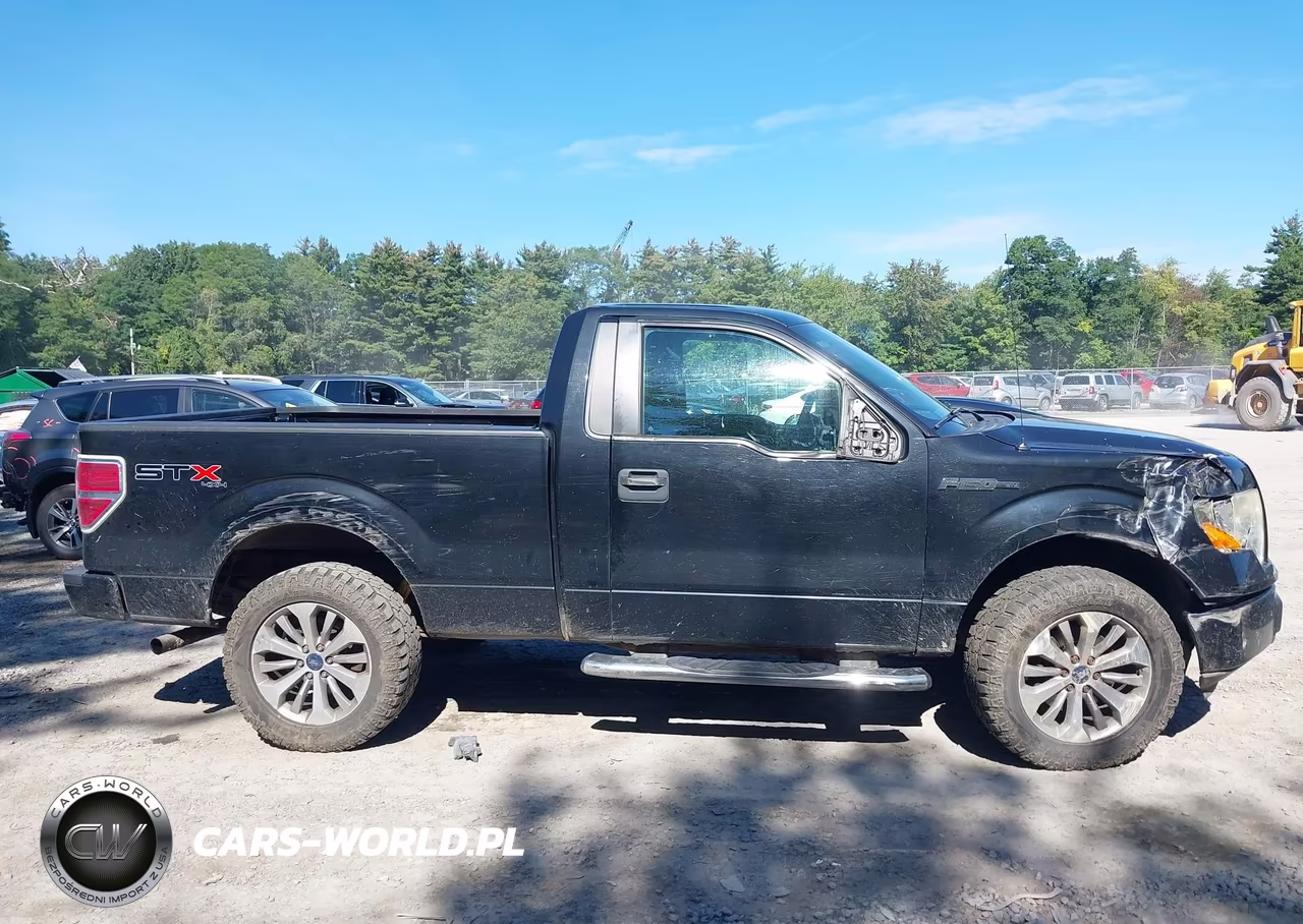 2011 Ford F-150 Stx VIN:1FTMF1EF7BFC54968 - 13