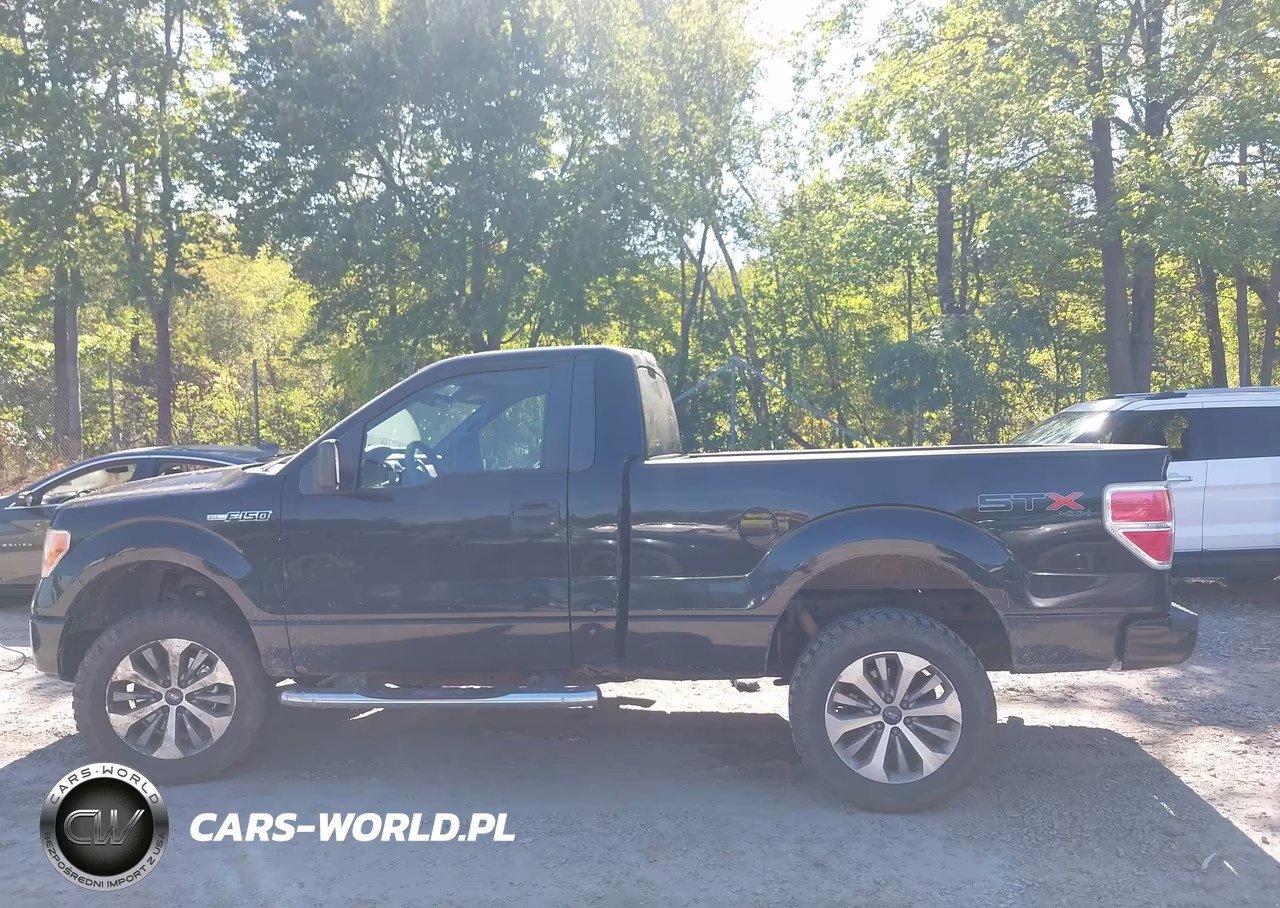 2011 Ford F-150 Stx VIN:1FTMF1EF7BFC54968 - 14