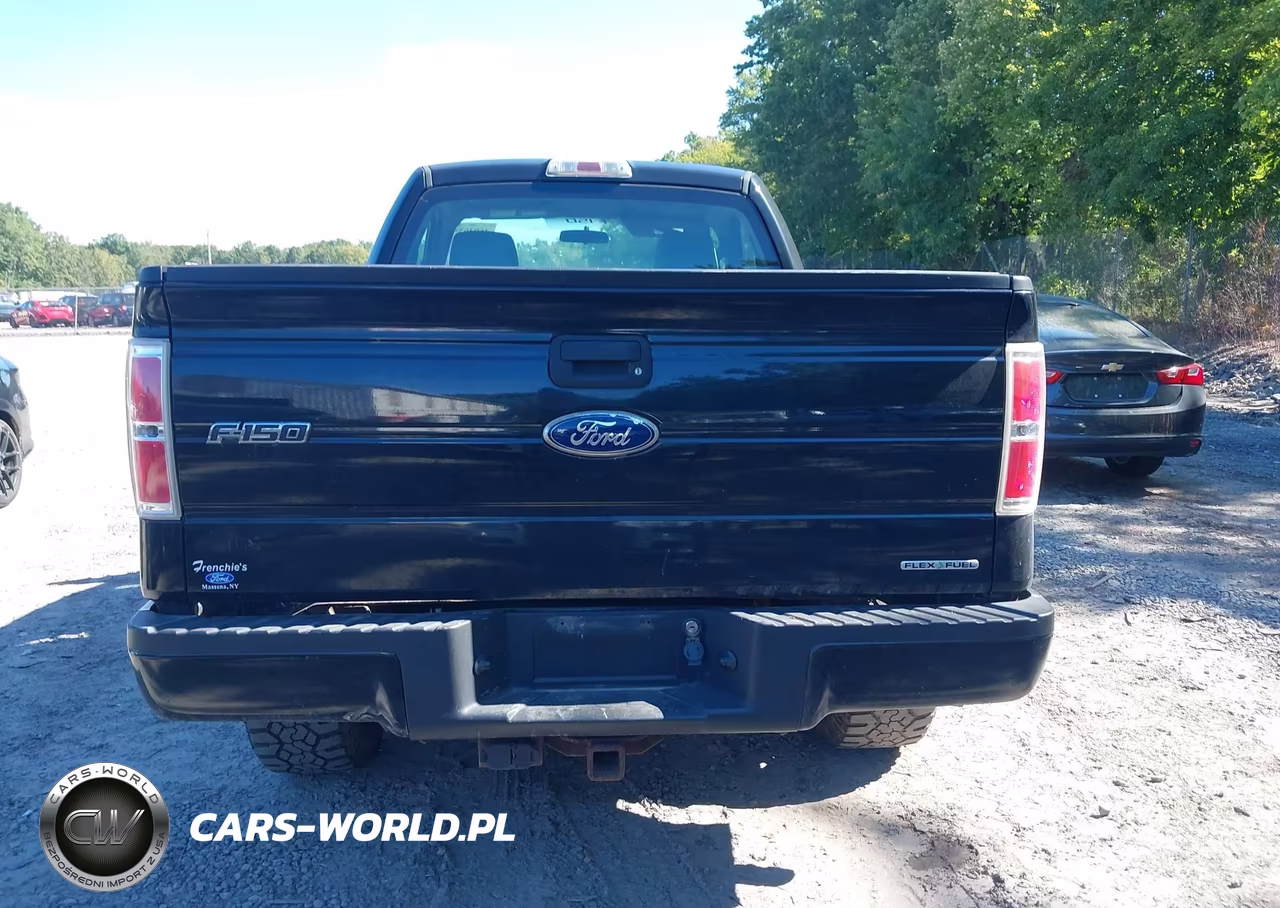 2011 Ford F-150 Stx VIN:1FTMF1EF7BFC54968 - 16
