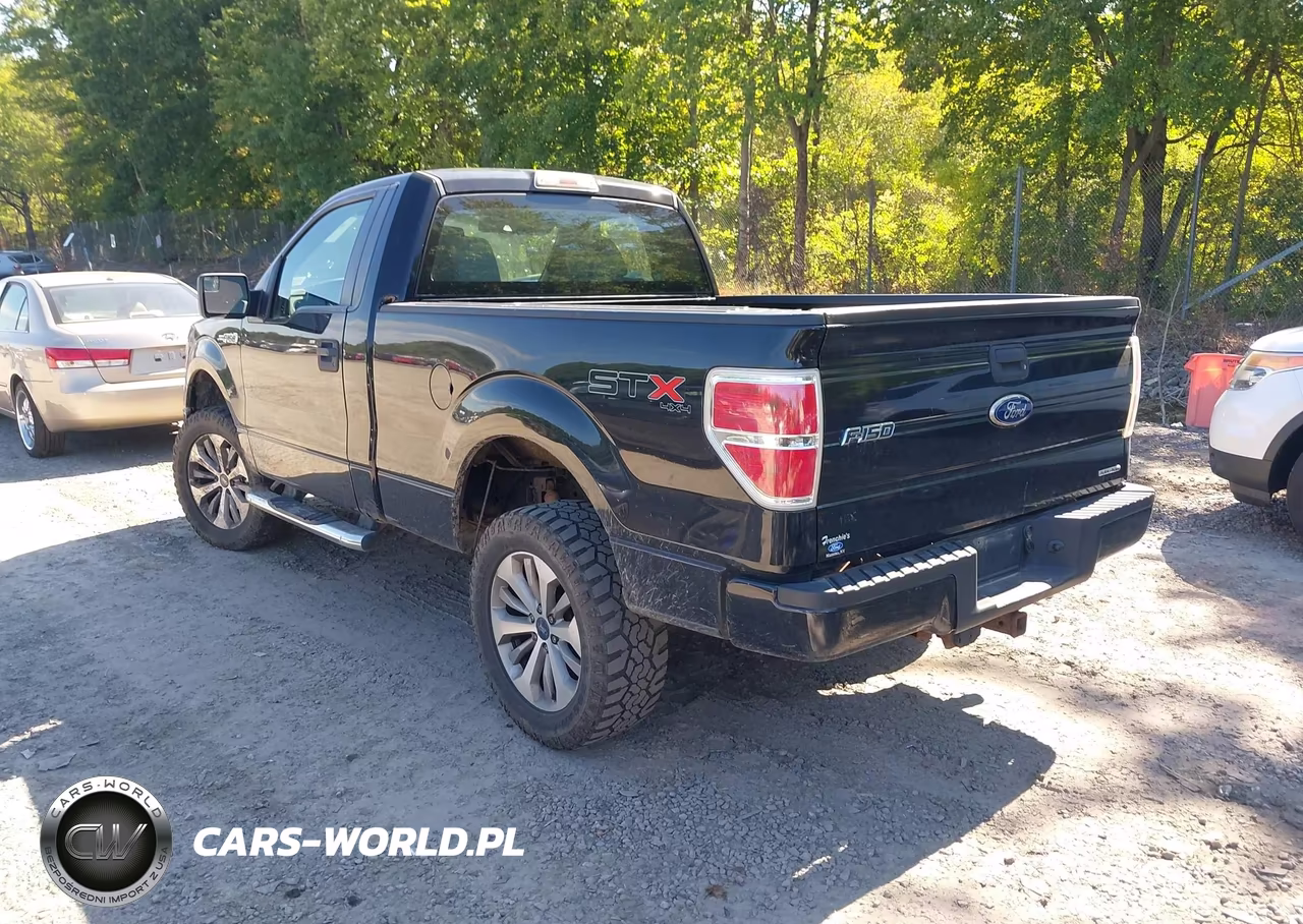 2011 Ford F-150 Stx VIN:1FTMF1EF7BFC54968 - 3