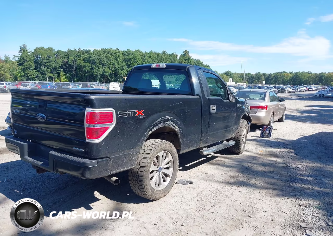 2011 Ford F-150 Stx VIN:1FTMF1EF7BFC54968 - 4