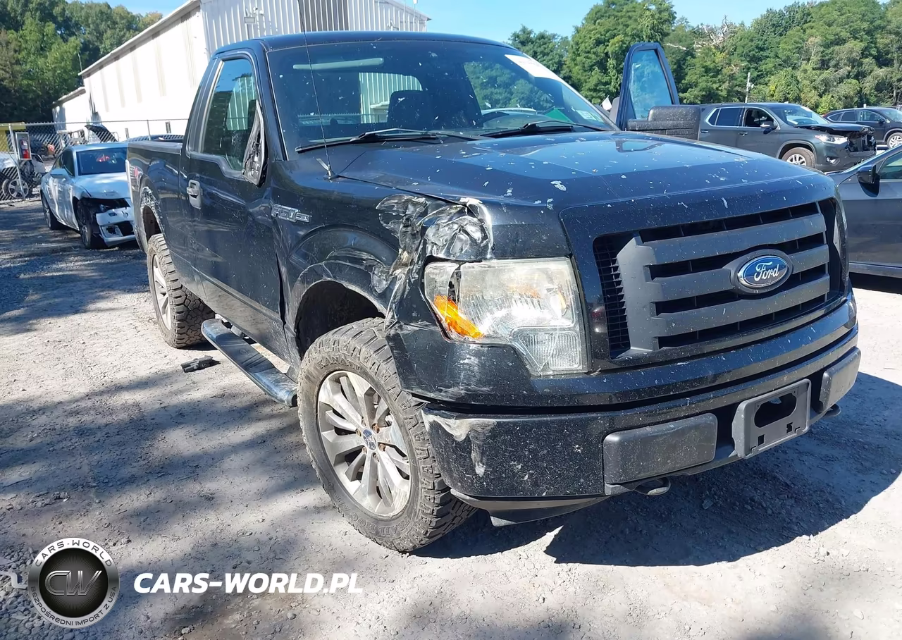 2011 Ford F-150 Stx VIN:1FTMF1EF7BFC54968 - 6
