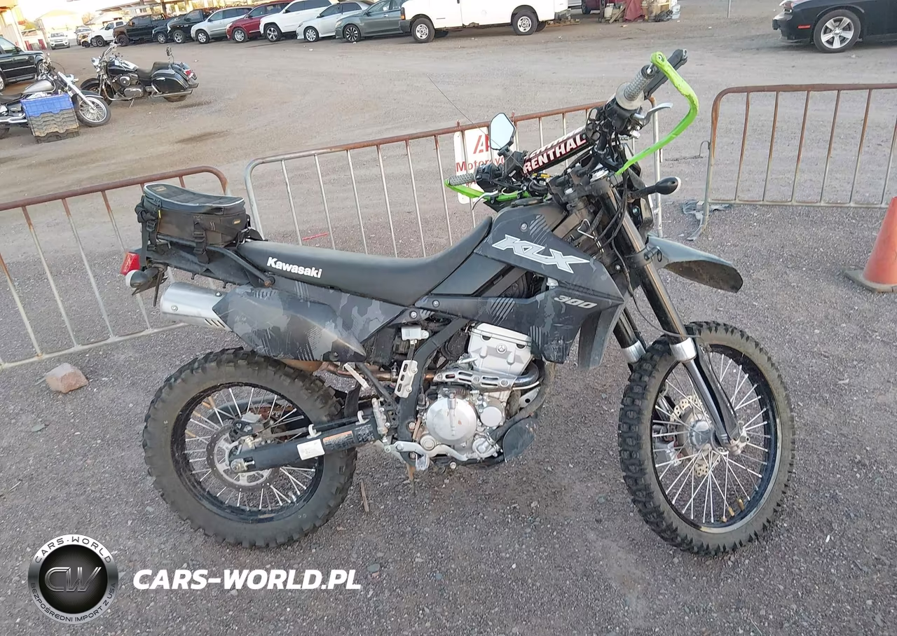 2023 Kawasaki Klx300 D VIN:ML5LXBD18PDA22139 - 12